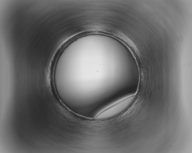 X0000102301020200807251431
