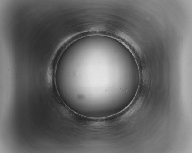 X0000102301021200807251431