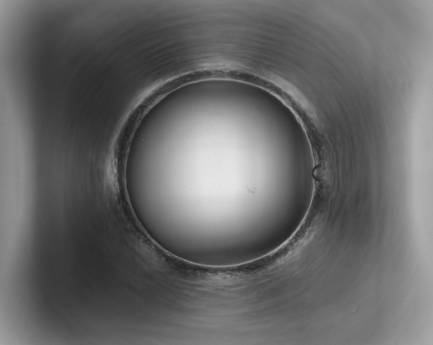 X0000102301022200807251431
