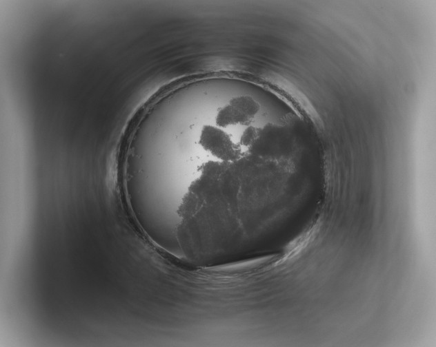 X0000102301023200807251431