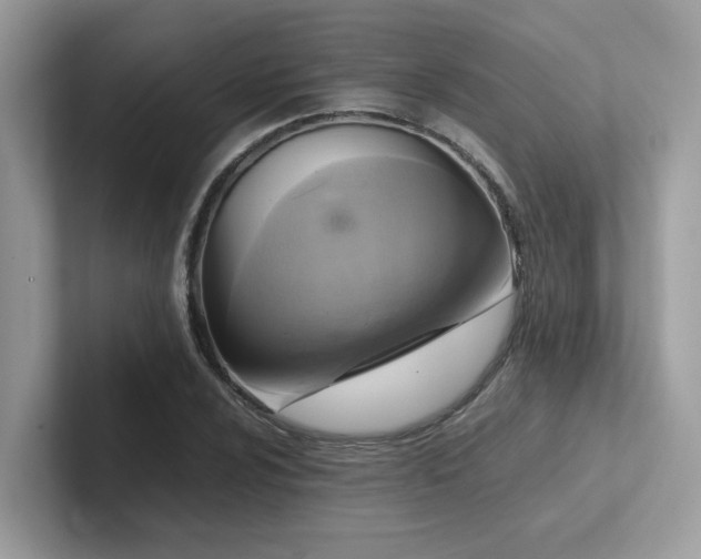 X0000102301024200807251431