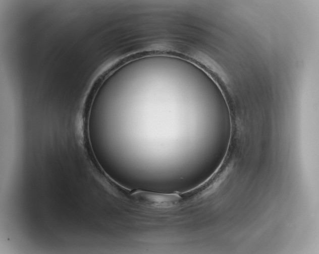 X0000102301029200807251431