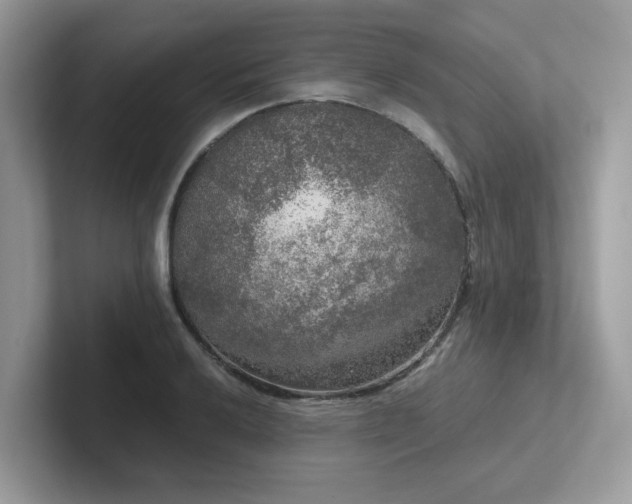 X0000102301032200807251431