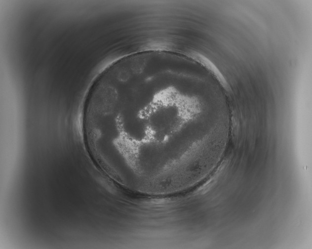 X0000102301035200807251431