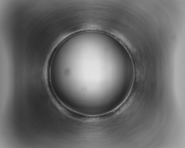 X0000102301038200807251431
