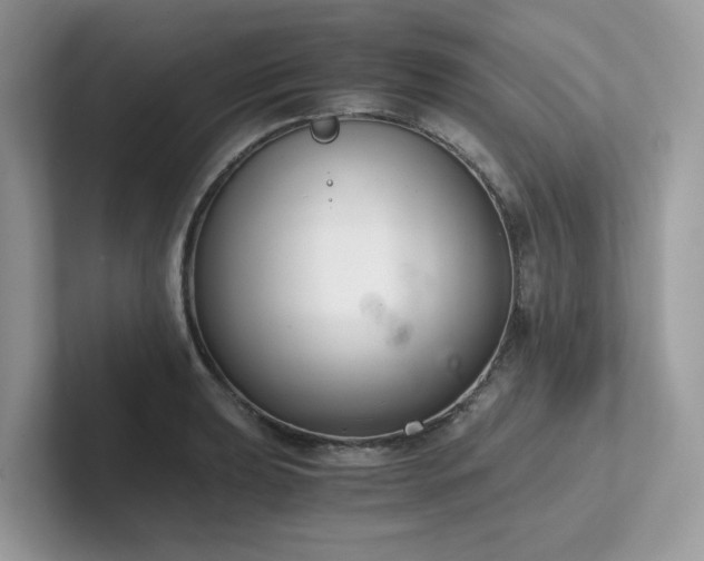 X0000102301039200807251431