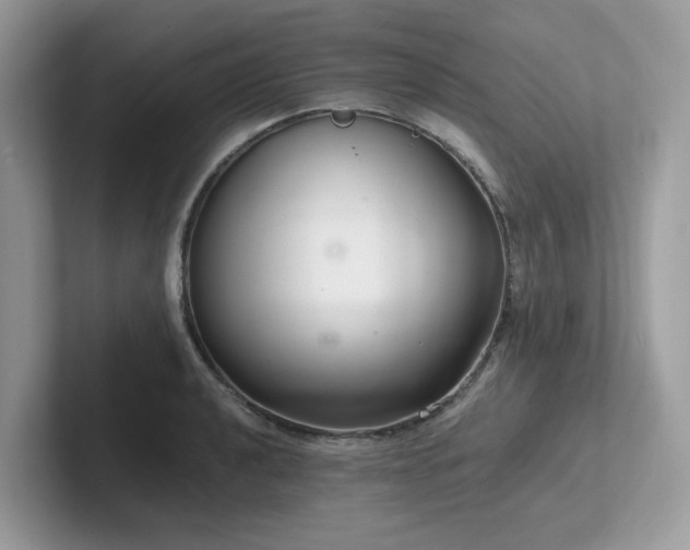 X0000102301040200807251431