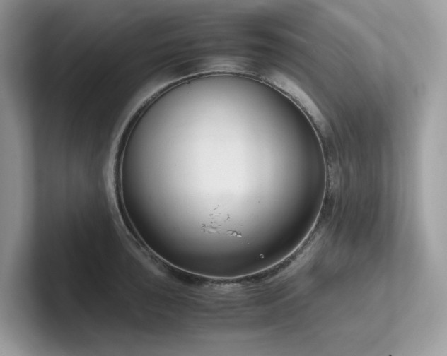 X0000102301043200807251431