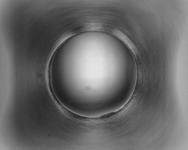 X0000102301050200807251431