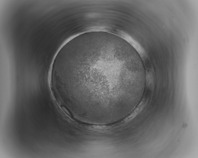 X0000102301052200807251431