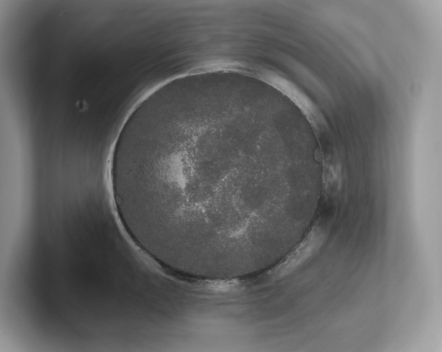 X0000102301055200807251431
