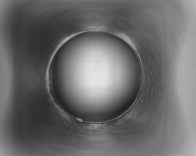 X0000102301056200807251431