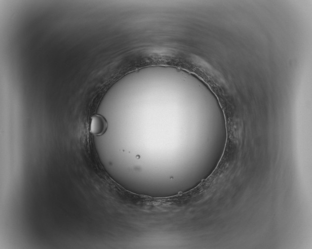X0000102301061200807251430