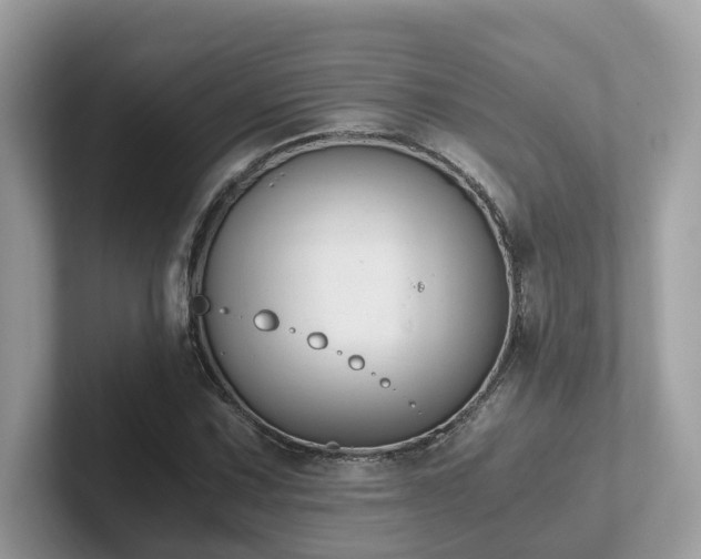 X0000102301067200807251430