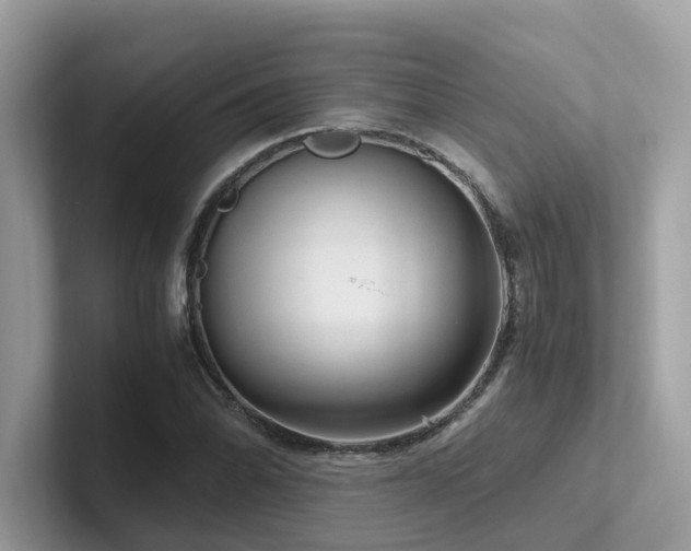 X0000102301070200807251430