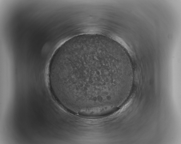 X0000102301071200807251430