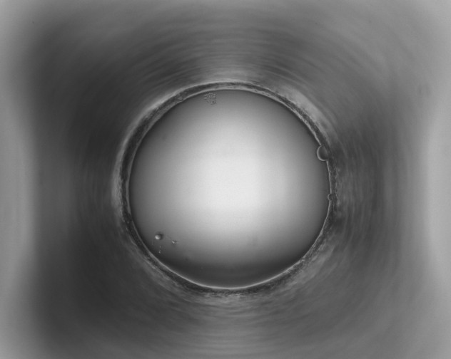 X0000102301072200807251430