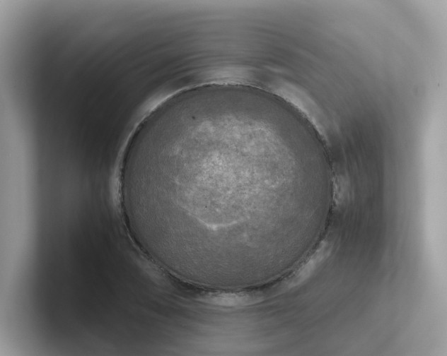 X0000102301074200807251430
