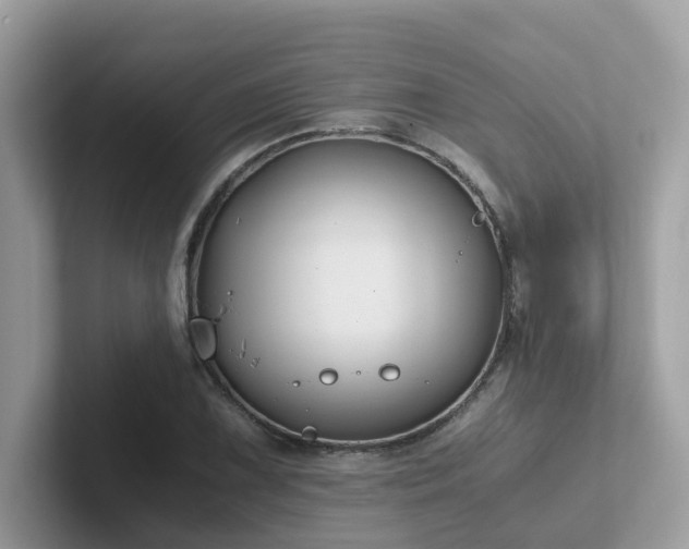 X0000102301075200807251430