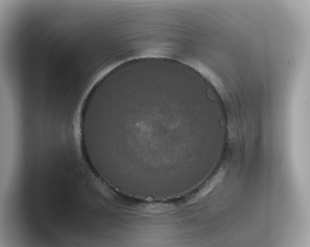 X0000102301077200807251430