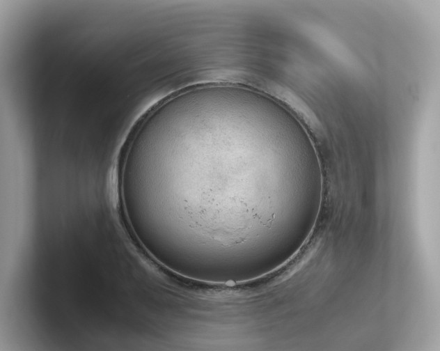 X0000102301079200807251430
