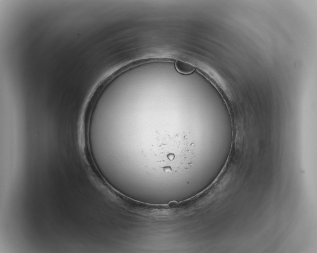 X0000102301080200807251430
