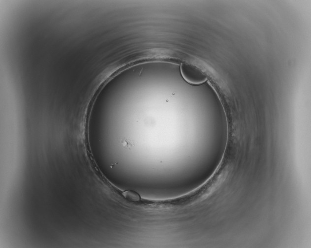 X0000102301081200807251430