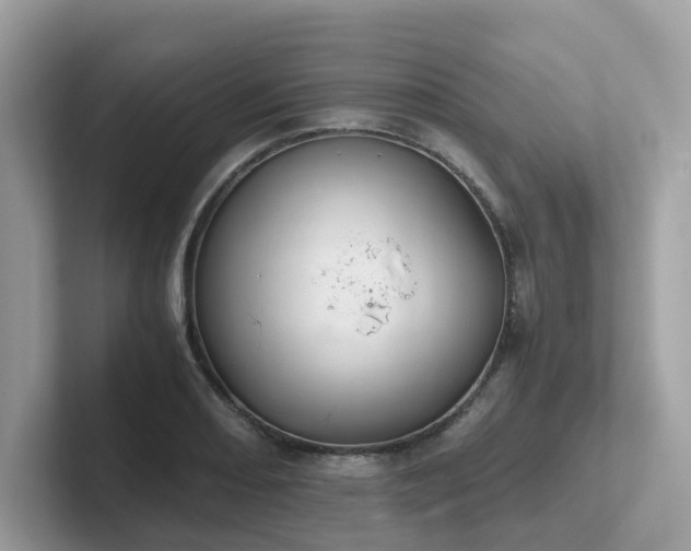 X0000102301082200807251430