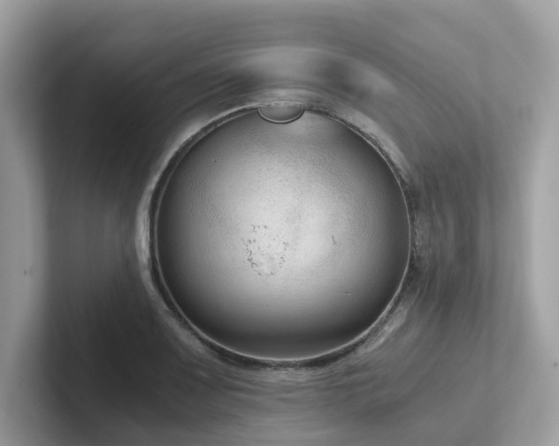 X0000102301083200807251430