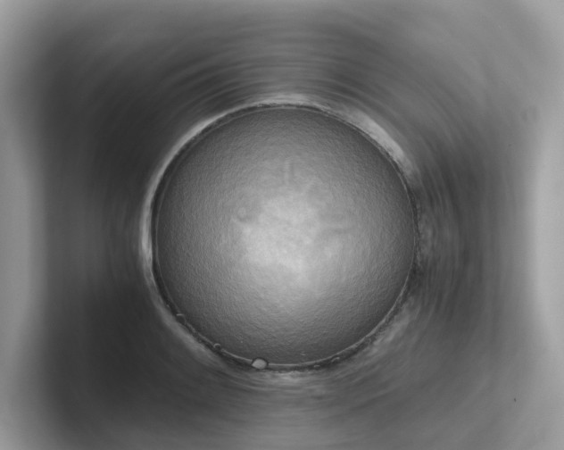 X0000102301084200807251430