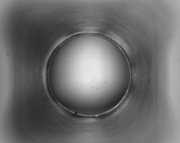 X0000102301085200807251430