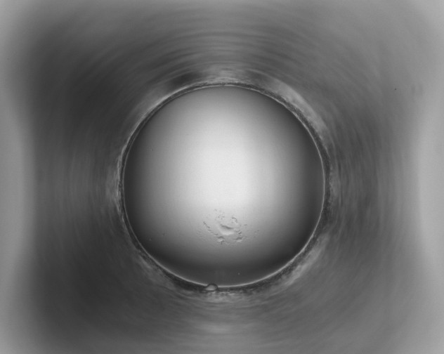 X0000102301089200807251430