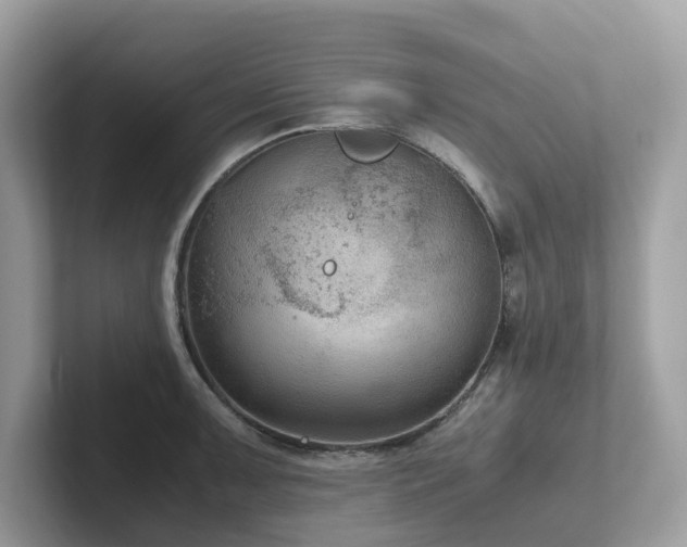 X0000102301091200807251430