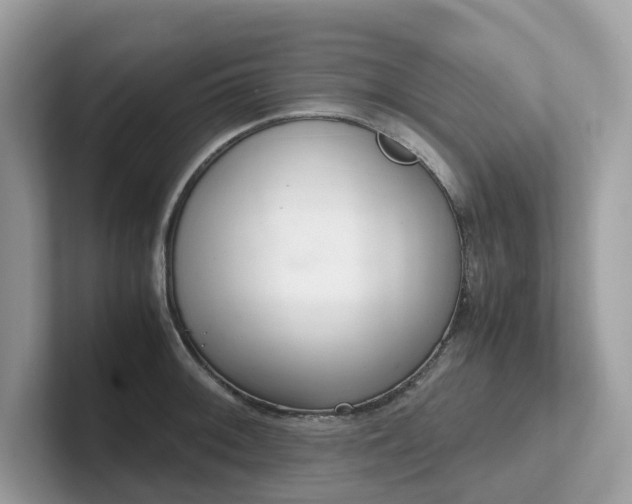 X0000102301092200807251430