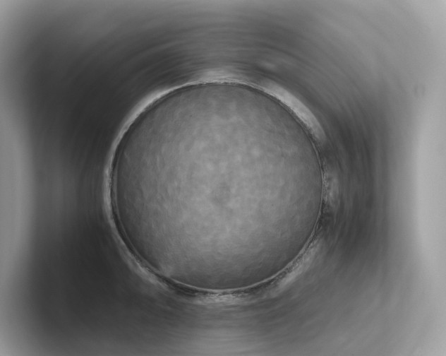 X0000102301094200807251430