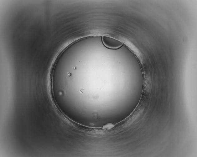 X0000102301096200807251430