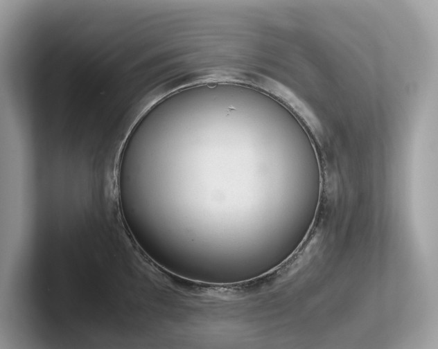 X0000102301097200807251430