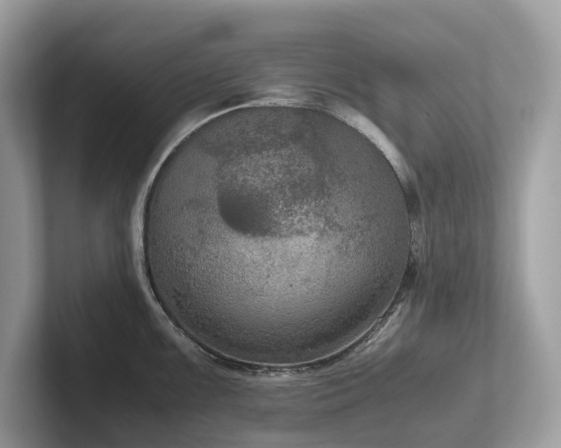 X0000102301099200807251430