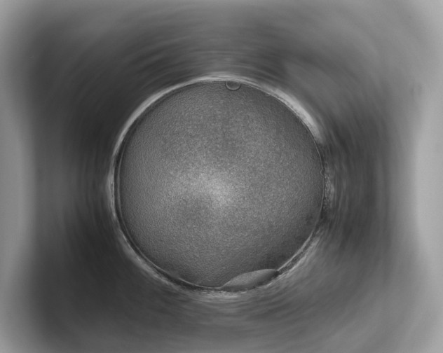 X0000102301100200807251430