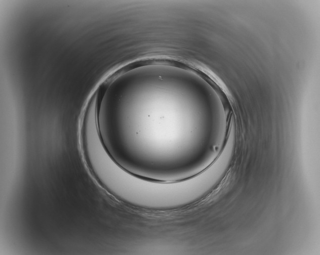 X0000102301101200807251430