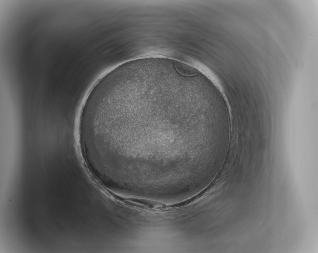 X0000102301104200807251430