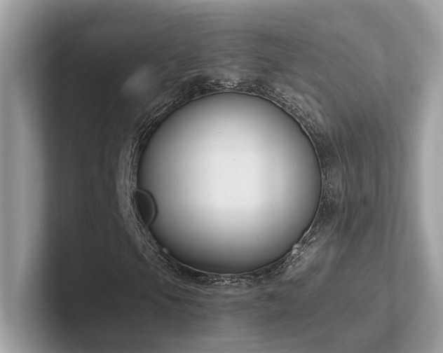 X0000102301105200807251429