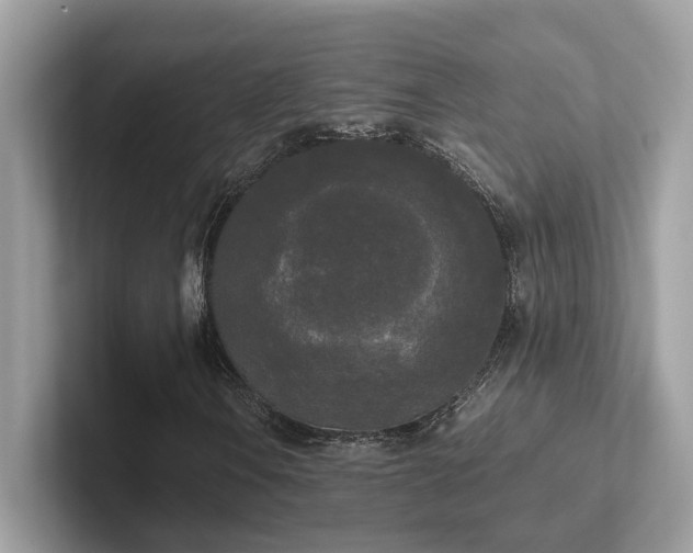 X0000102301106200807251429