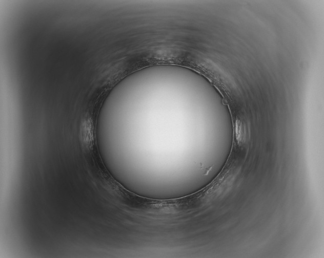 X0000102301107200807251429
