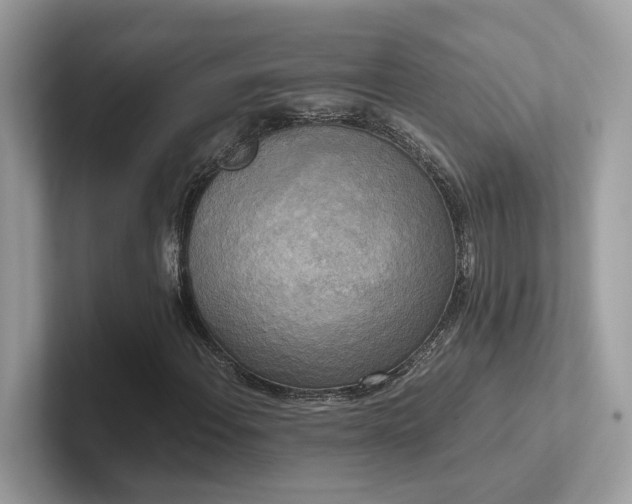 X0000102301108200807251429