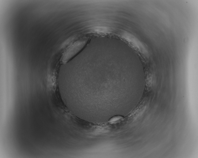 X0000102301110200807251429