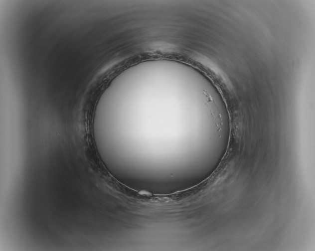 X0000102301112200807251429