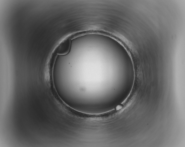 X0000102301118200807251429