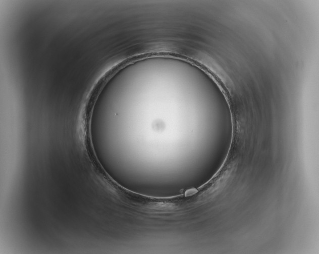 X0000102301119200807251429