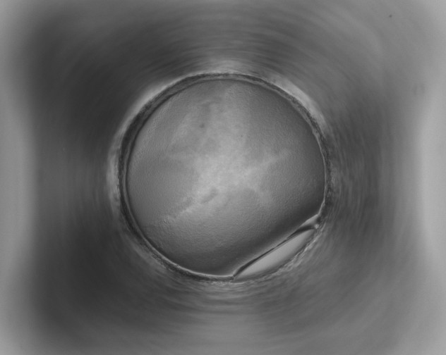 X0000102301120200807251429